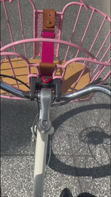 Panier de vélo Laura-Rose - Edition Limitée